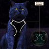 Reflective Nylon Cat Harness and Leash