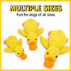 Plush Squeaky Dog Toy Collection