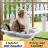 Transparent Capsule Cat Window Bed