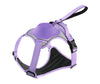 All-in-One Pet Harness and Leash Vest
