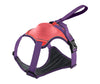 All-in-One Pet Harness and Leash Vest