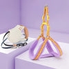 Small Dog Vest Harness for Walks