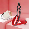 Small Dog Vest Harness for Walks