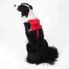 Vest-Style Dog Harness with Retractable Leash