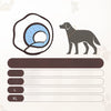 Plastic Recovery Cone for Dogs