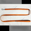 Lightweight Quick-Dry Polyester Dog Leash for Small to Large Dogs