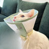 Lightweight Recovery Cone for Dogs and Cats