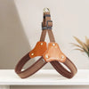 Vest-Style Dog Harness for Small to Medium Dogs