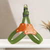 Vest-Style Dog Harness for Small to Medium Dogs