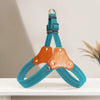 Vest-Style Dog Harness for Small to Medium Dogs