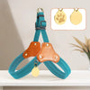 Vest-Style Dog Harness for Small to Medium Dogs