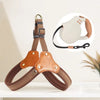 Vest-Style Dog Harness for Small to Medium Dogs