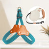 Vest-Style Dog Harness for Small to Medium Dogs