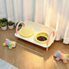 Double Pet Bowl Set with Slow-Feed Design and Splash Control