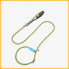 Nylon P-Chain Dog Leash for Everyday Walks and Training