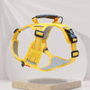 Dog Harness and Leash