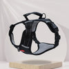 Dog Harness and Leash