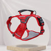 Dog Harness and Leash