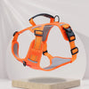 Dog Harness and Leash