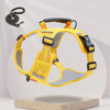 Dog Harness and Leash
