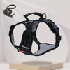 Dog Harness and Leash