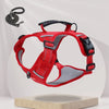 Dog Harness and Leash