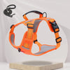 Dog Harness and Leash