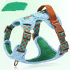 Dog Vest Harness with Leash Options