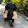 3D-Printed Arm & Hand Pet Collar Charm for Dogs & Cats