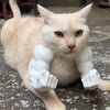3D-Printed Arm & Hand Pet Collar Charm for Dogs & Cats