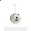 5-in-1 Planet Tumbler Cat Toy with Teaser Wand
