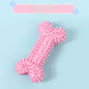 Dog Chew & Play Toys