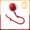 Adjustable Interactive Teaser Ball Cat Toy with String
