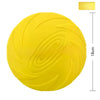 Dog Training Flying Disc Toy