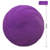 Dog Training Flying Disc Toy