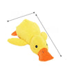 Plush Squeaky Dog Toy Collection