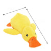 Plush Squeaky Dog Toy Collection