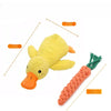 Plush Squeaky Dog Toy Collection