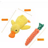 Plush Squeaky Dog Toy Collection