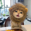 Novelty Pet Costume Hats for Cats and Dogs