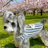 Lightweight Cotton Summer Shirt for Dogs and Cats