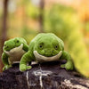 Plush Squeaky Frog Dog Toy