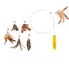 Cat Teaser Wand with Foxtail Attachments