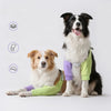 Dog Front-Leg Covering Garment