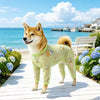 Printed Mesh Four-Leg Dog Shirt for Summer