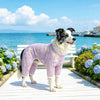 Printed Mesh Four-Leg Dog Shirt for Summer