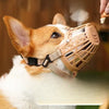 Dog Muzzle with Plastic Frame and Mesh Panel