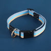 Adjustable Canvas Dog Collar