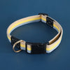 Adjustable Canvas Dog Collar