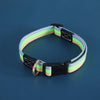 Adjustable Canvas Dog Collar